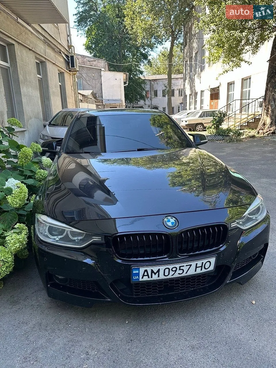 2014 BMW 3er - мініатюра 12