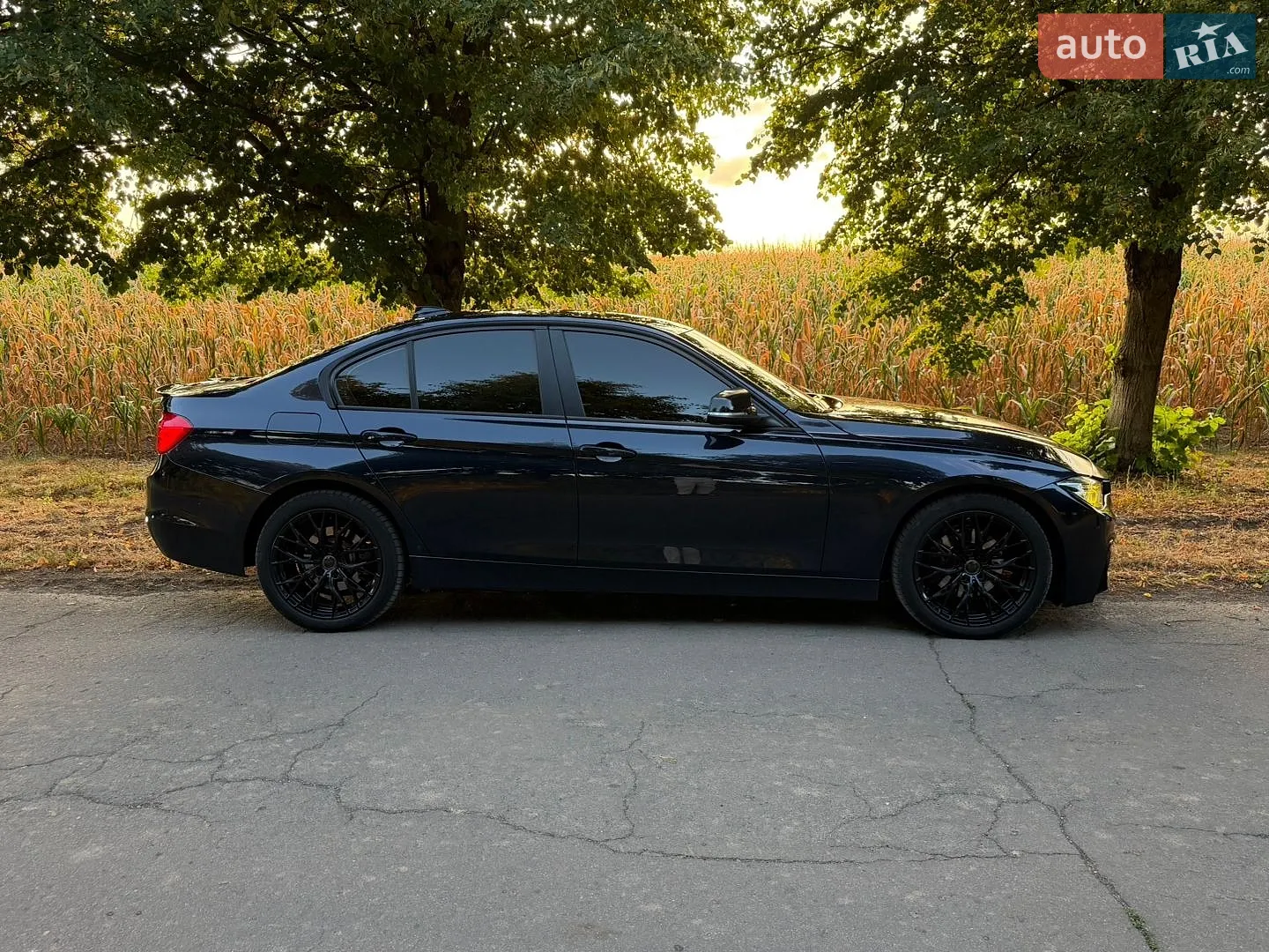 2013 BMW 3er - мініатюра 5