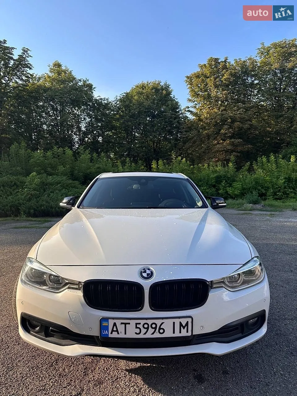 2016 BMW 3er - фото 1