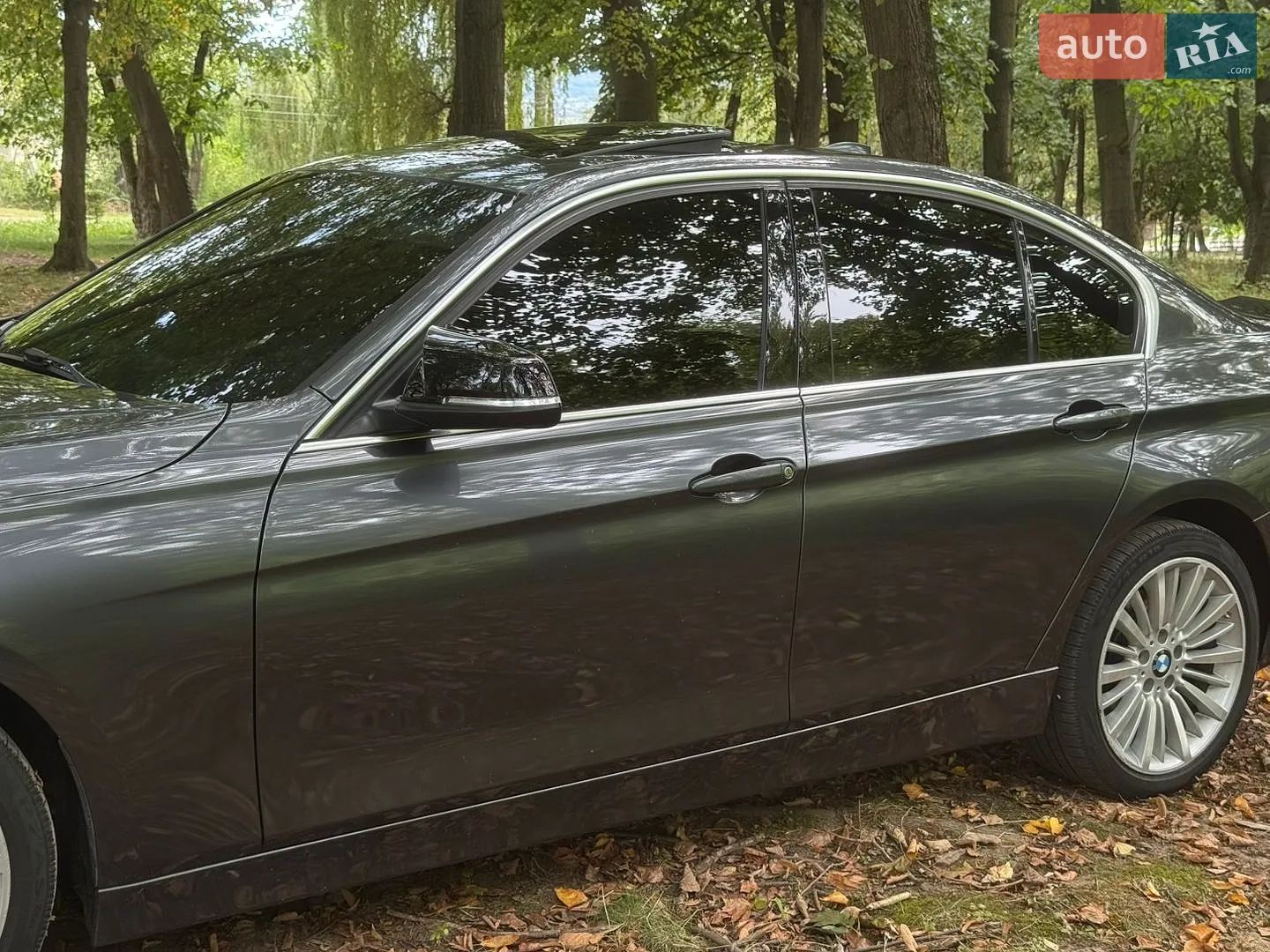 2013 BMW 3er - мініатюра 9