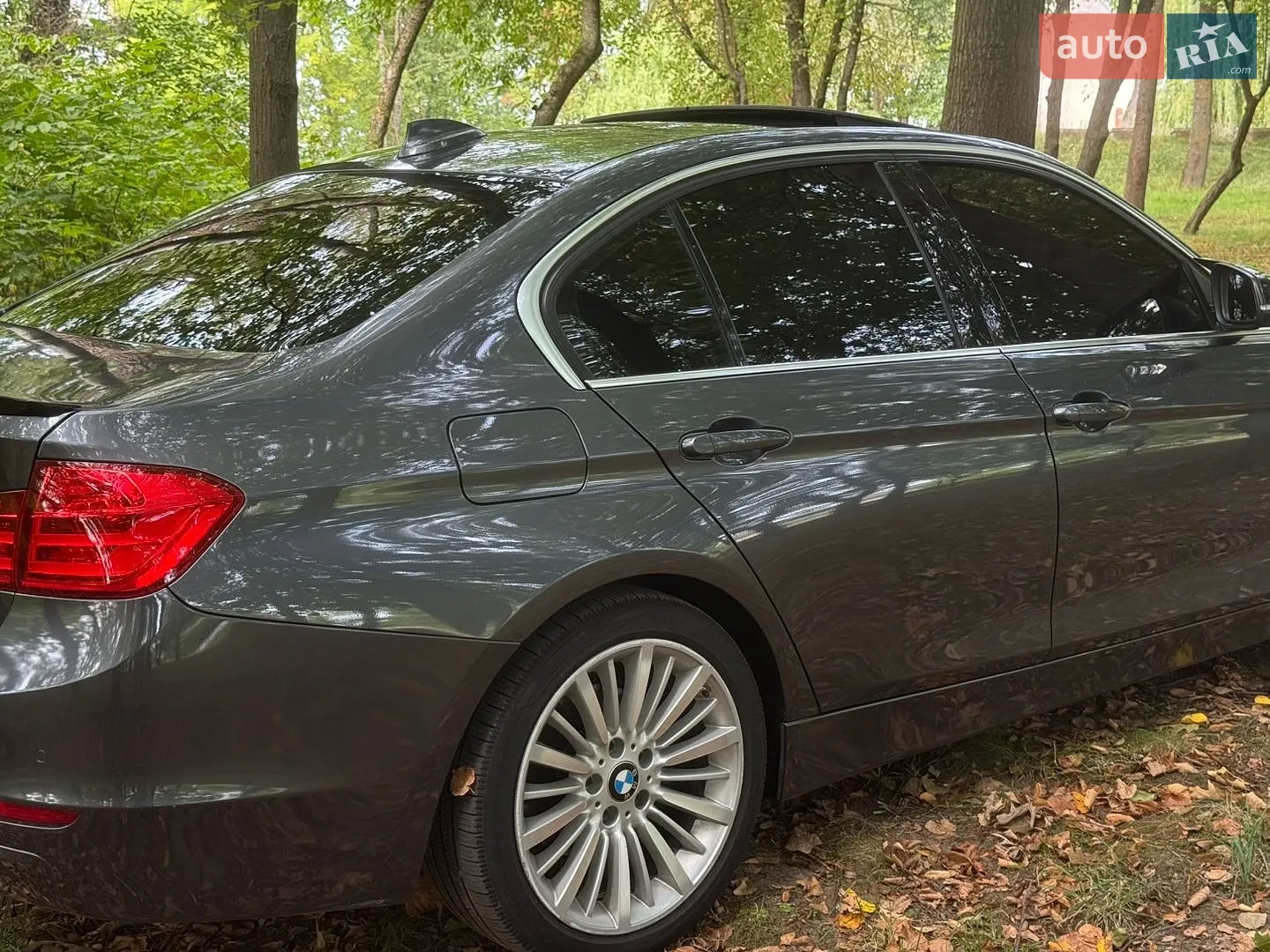 2013 BMW 3er - мініатюра 11