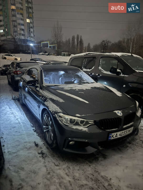 Купе BMW 4 Series Gran Coupe 2015 в Киеве фото 26 Купе BMW 4 Series Gran Coupe 2015 в Киеве