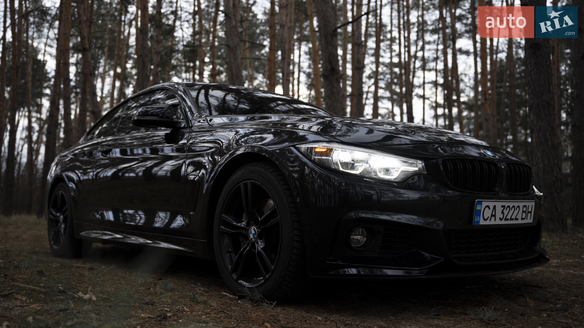 2017 BMW 4er - мініатюра 9