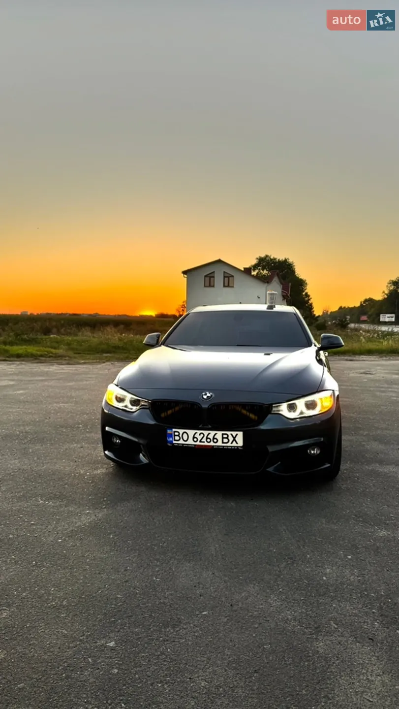 2016 BMW 4er - мініатюра 48