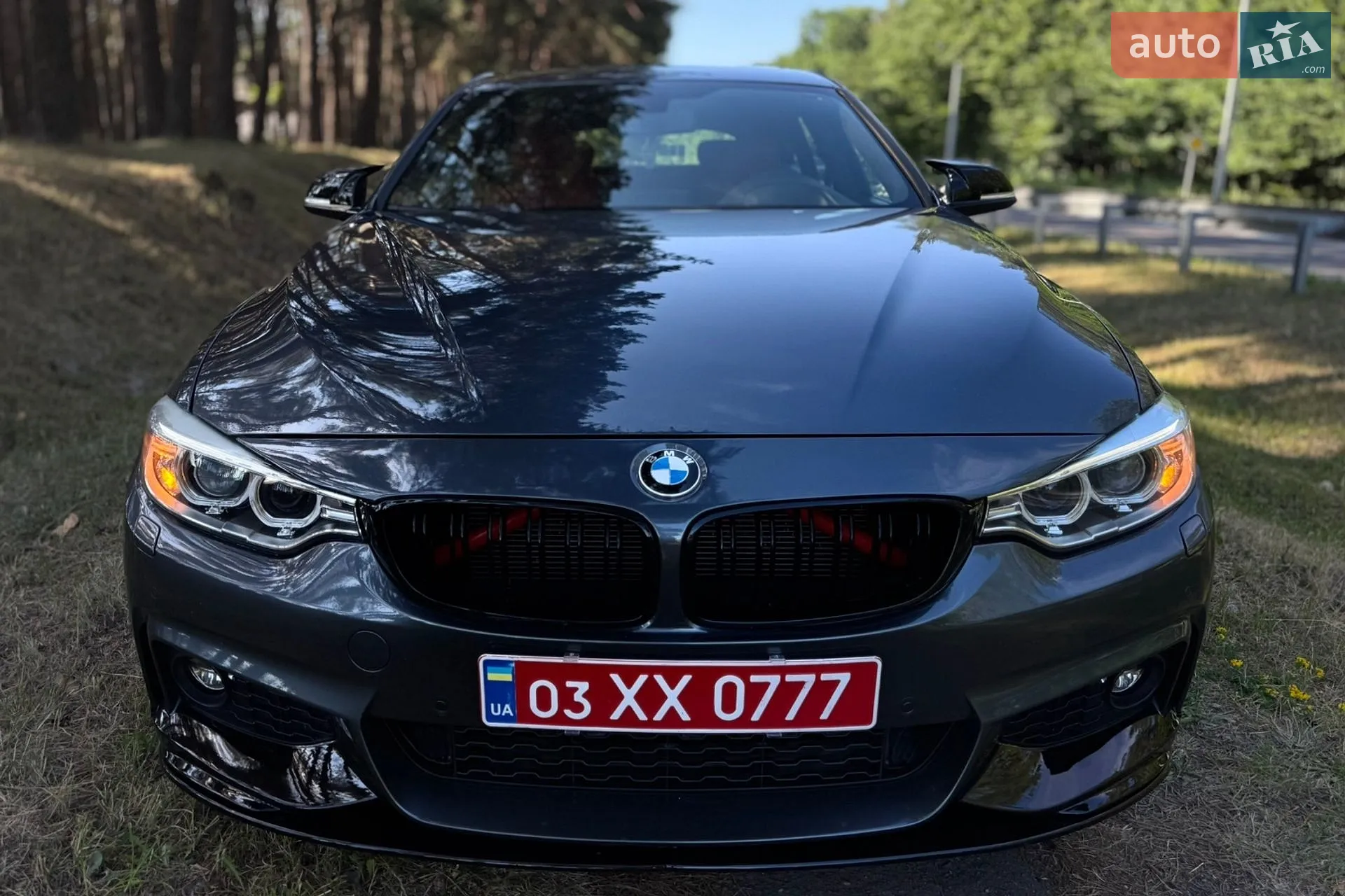 2016 BMW 4er - мініатюра 2