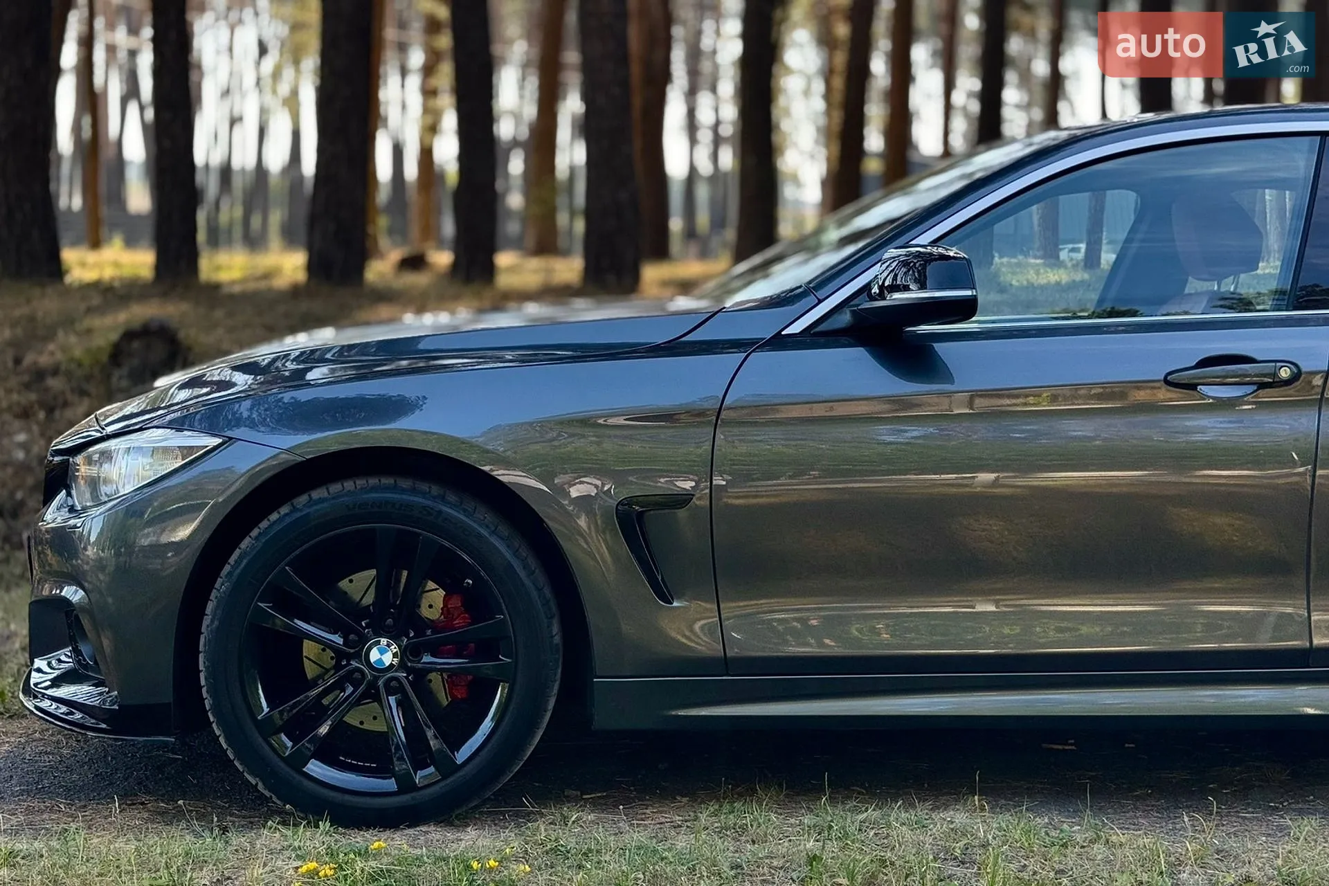 2016 BMW 4er - мініатюра 9