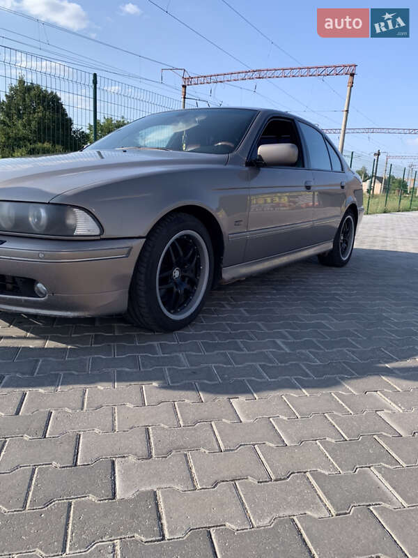 Седан BMW 5 Series 2003 в Звягелі