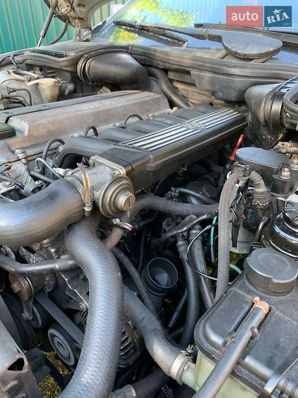 Універсал BMW 5 Series 1998 в Звягелі