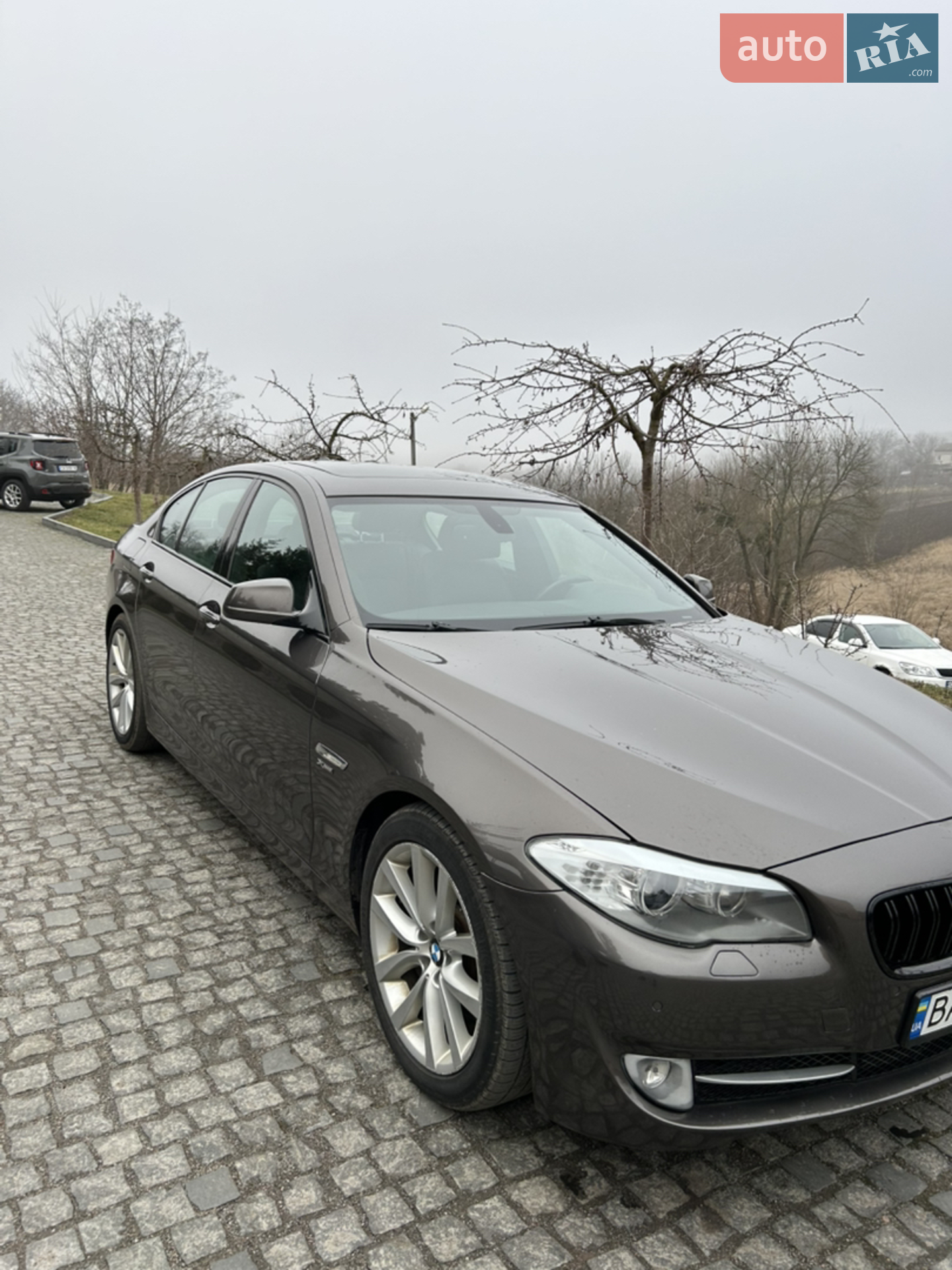 2010 BMW 5er - мініатюра 13