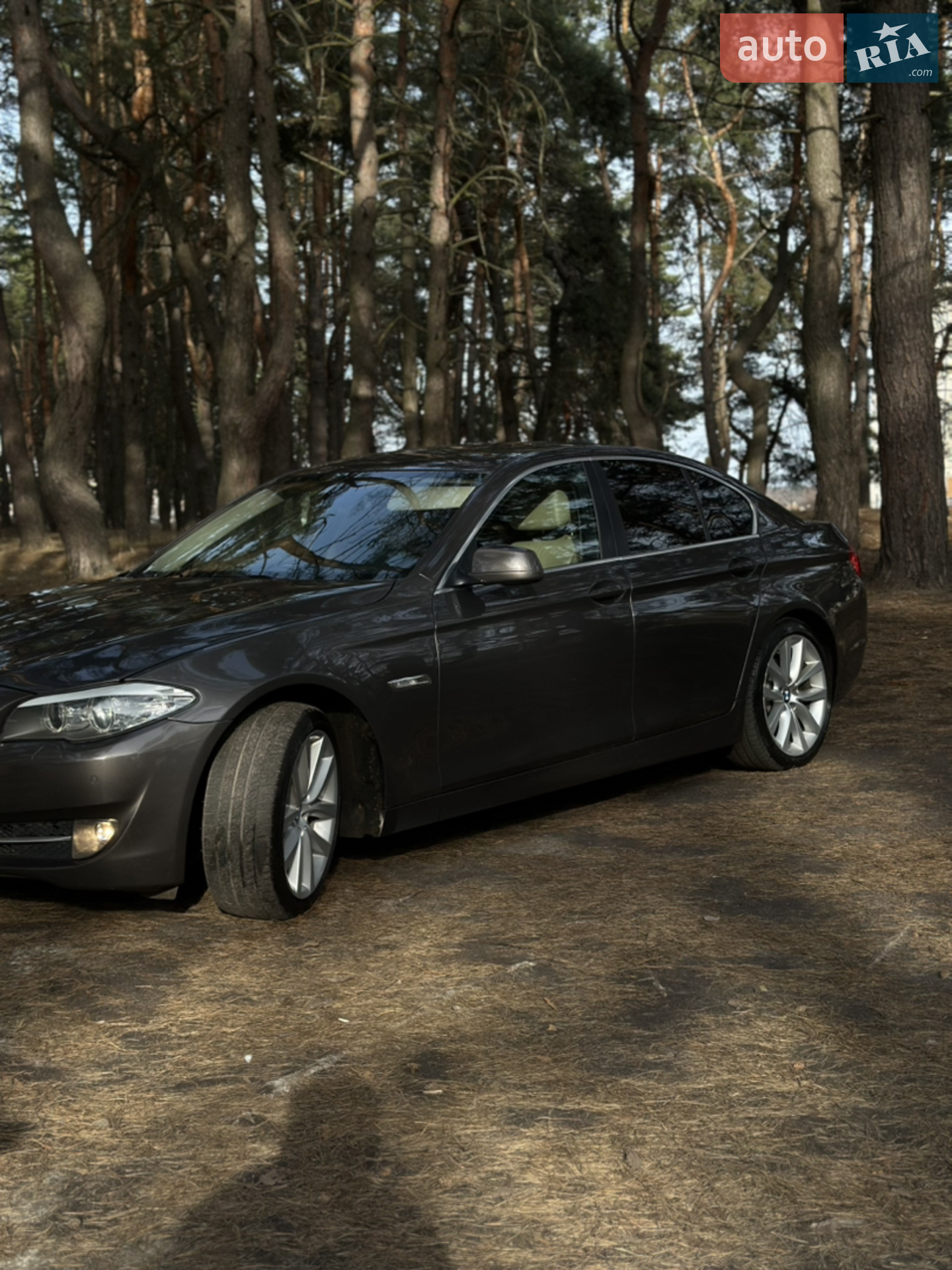 2010 BMW 5er - мініатюра 2