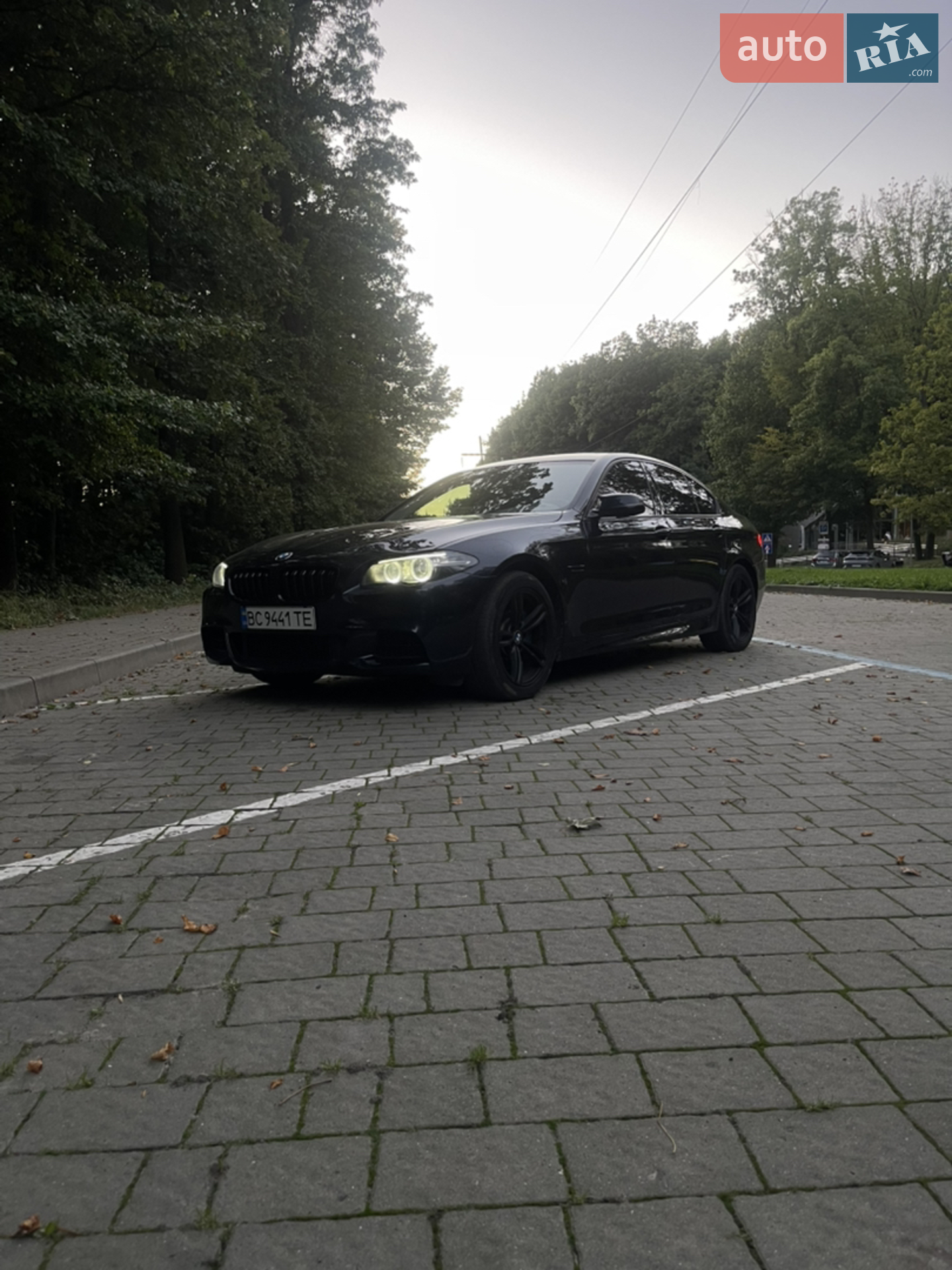 2013 BMW 5er - мініатюра 4