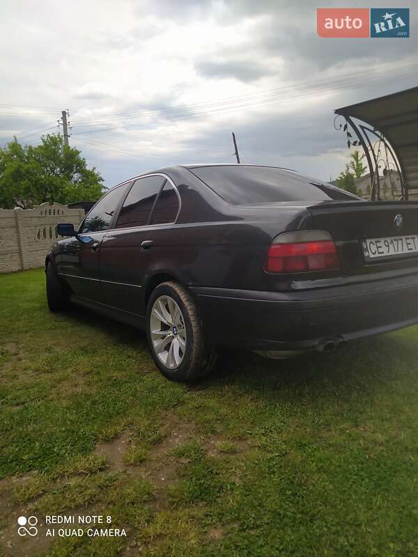 Седан BMW 5 Series 1996 в Сторожинці фото 6 Седан BMW 5 Series 1996 в Сторожинці