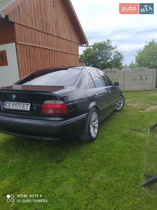 Седан BMW 5 Series 1996 в Сторожинці фото 10 Седан BMW 5 Series 1996 в Сторожинці