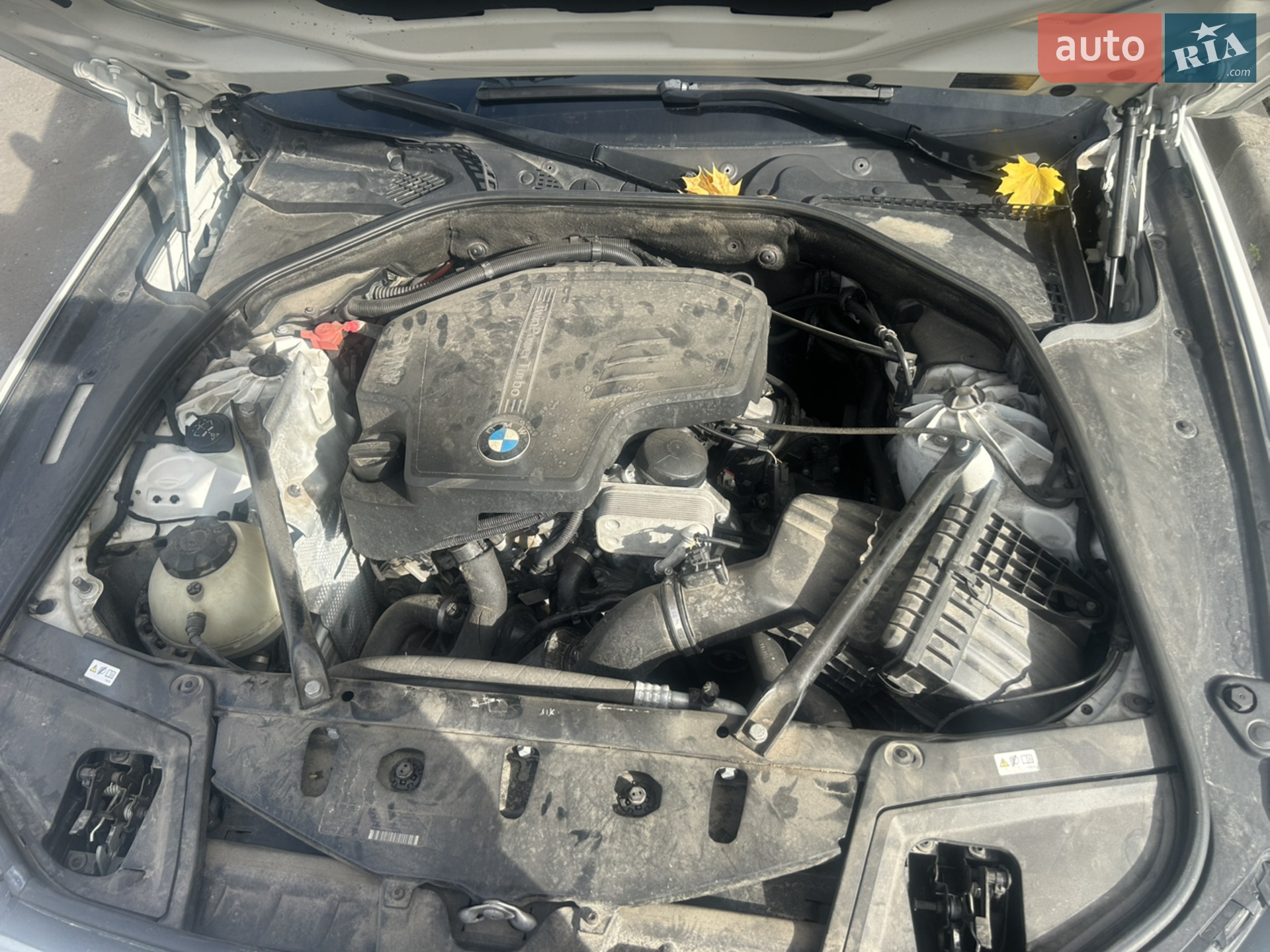 2013 BMW 5er - мініатюра 6