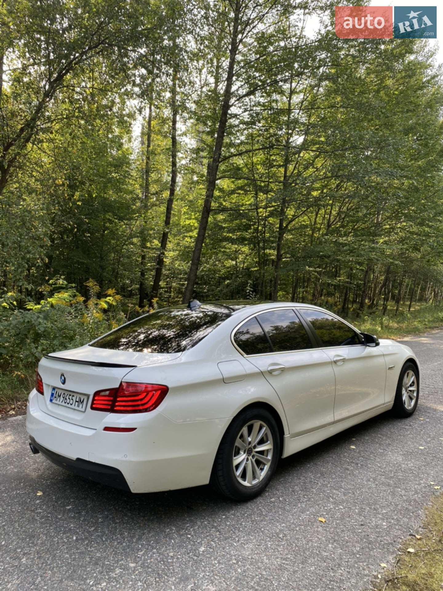 2014 BMW 5er - мініатюра 4