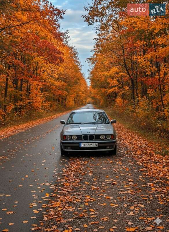 BMW 5 Series 1989 BMW 5 Series 1989
