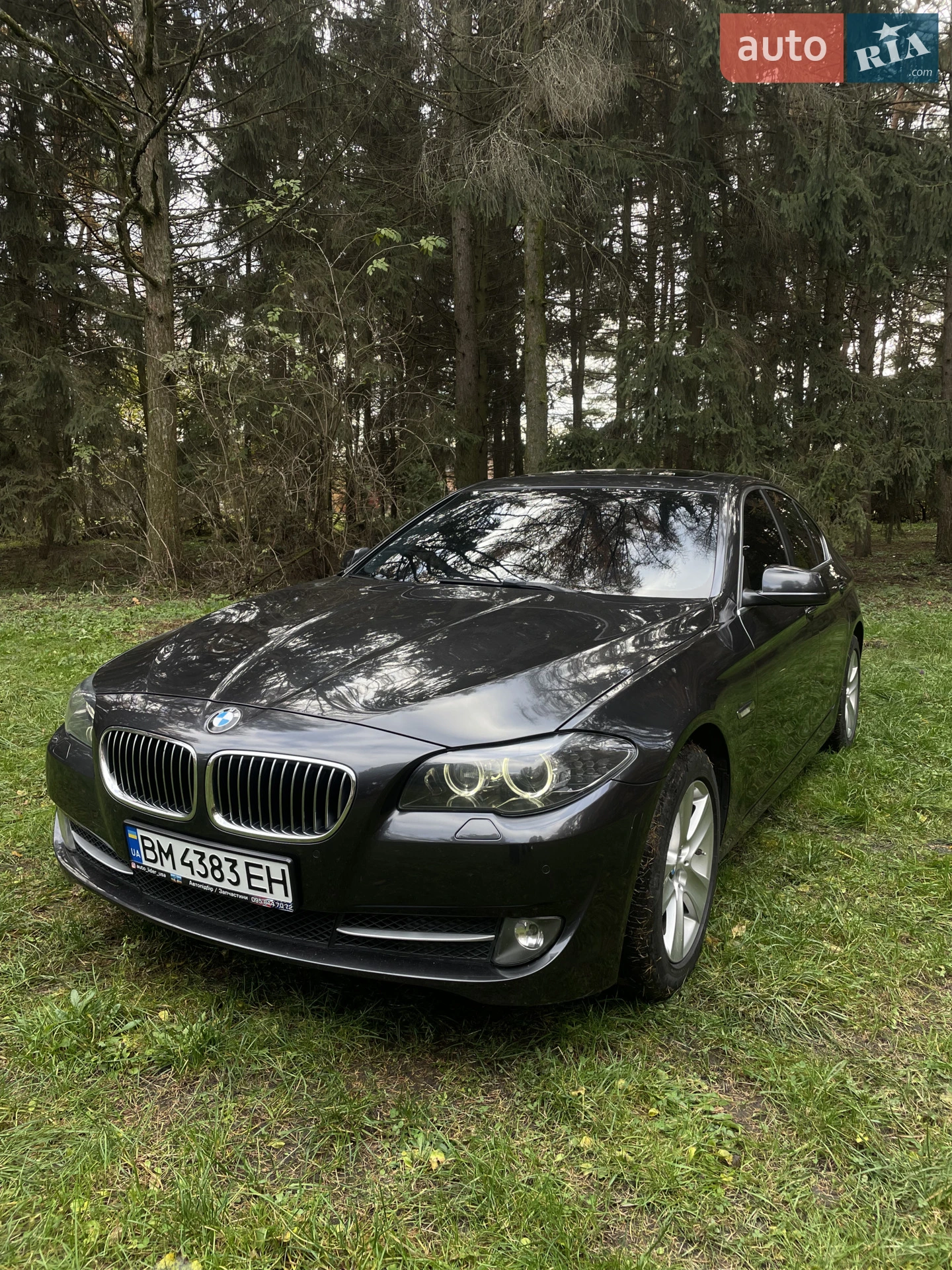 2013 BMW 5er - мініатюра 2