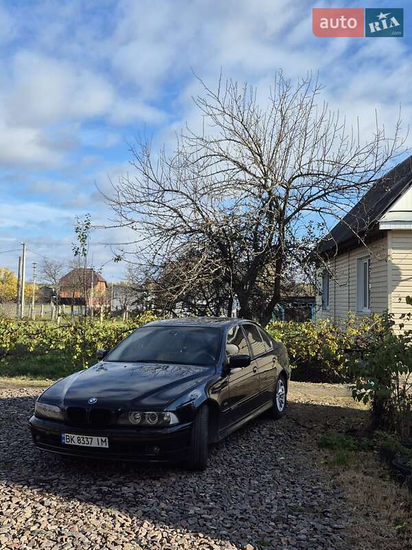 BMW 5 Series 2003 BMW 5 Series 2003