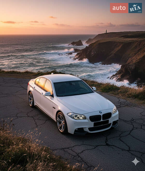 BMW 5 Series 2011 BMW 5 Series 2011