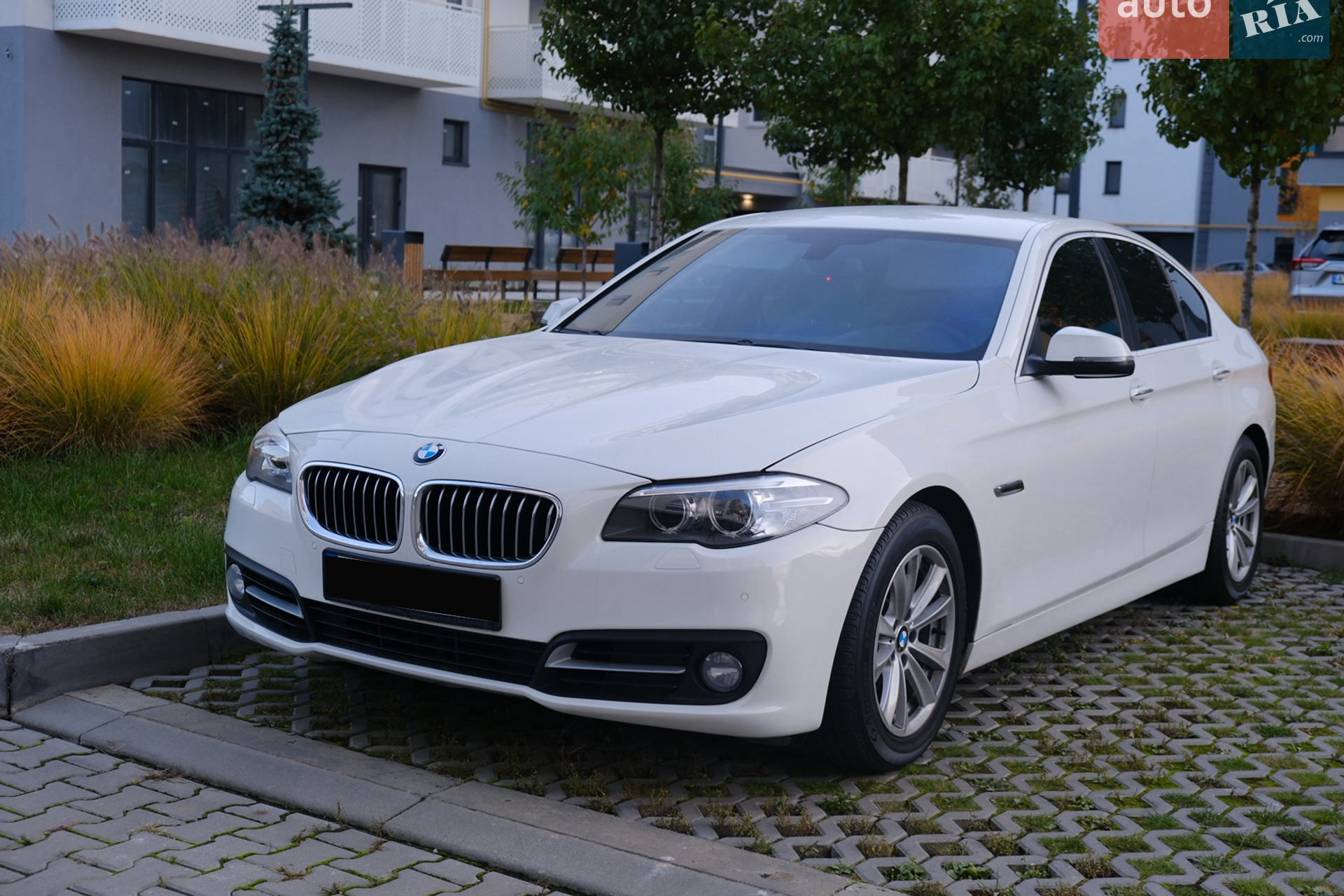 2013 BMW 5er - мініатюра 2