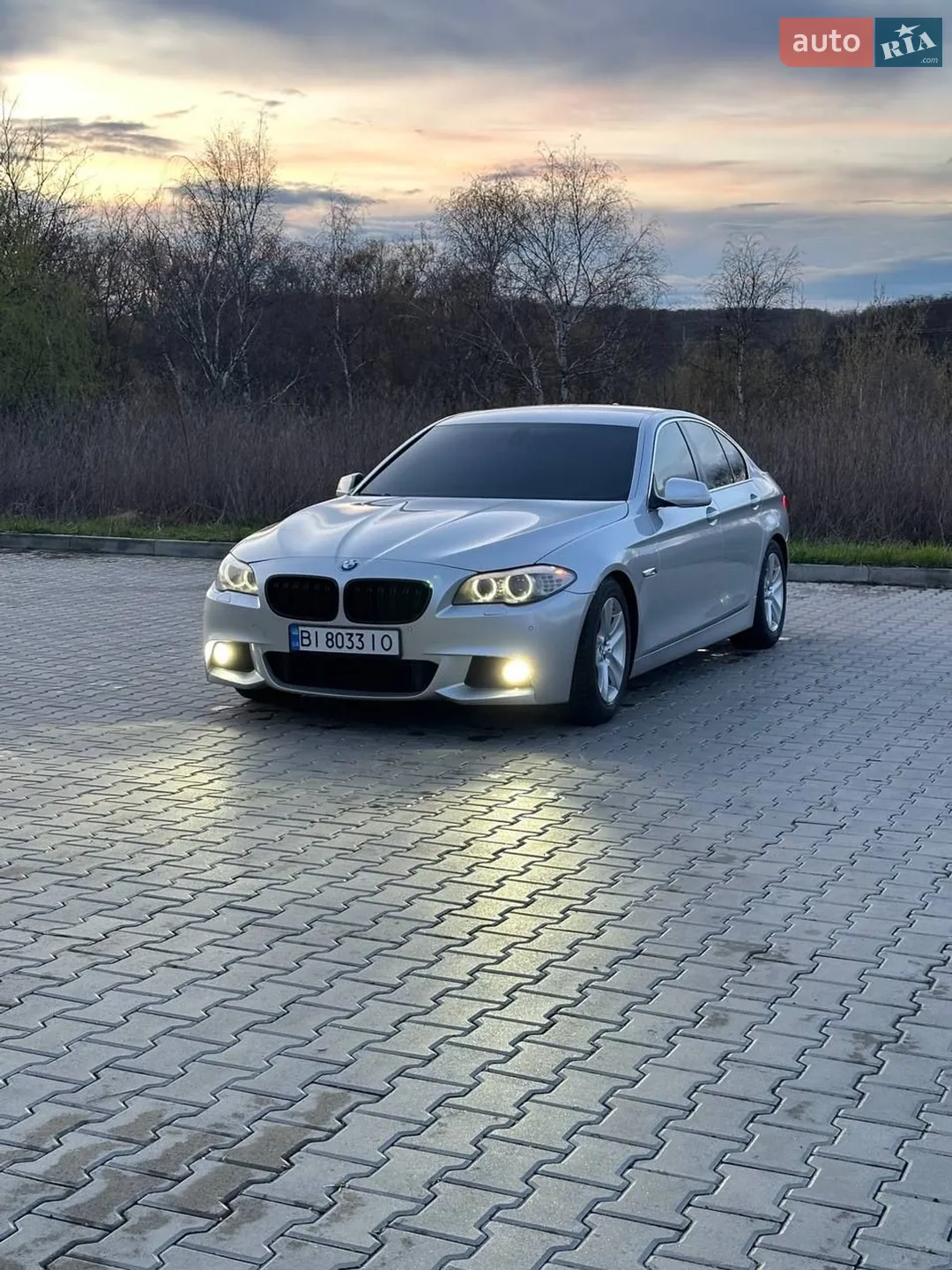 2010 BMW 5er - мініатюра 5