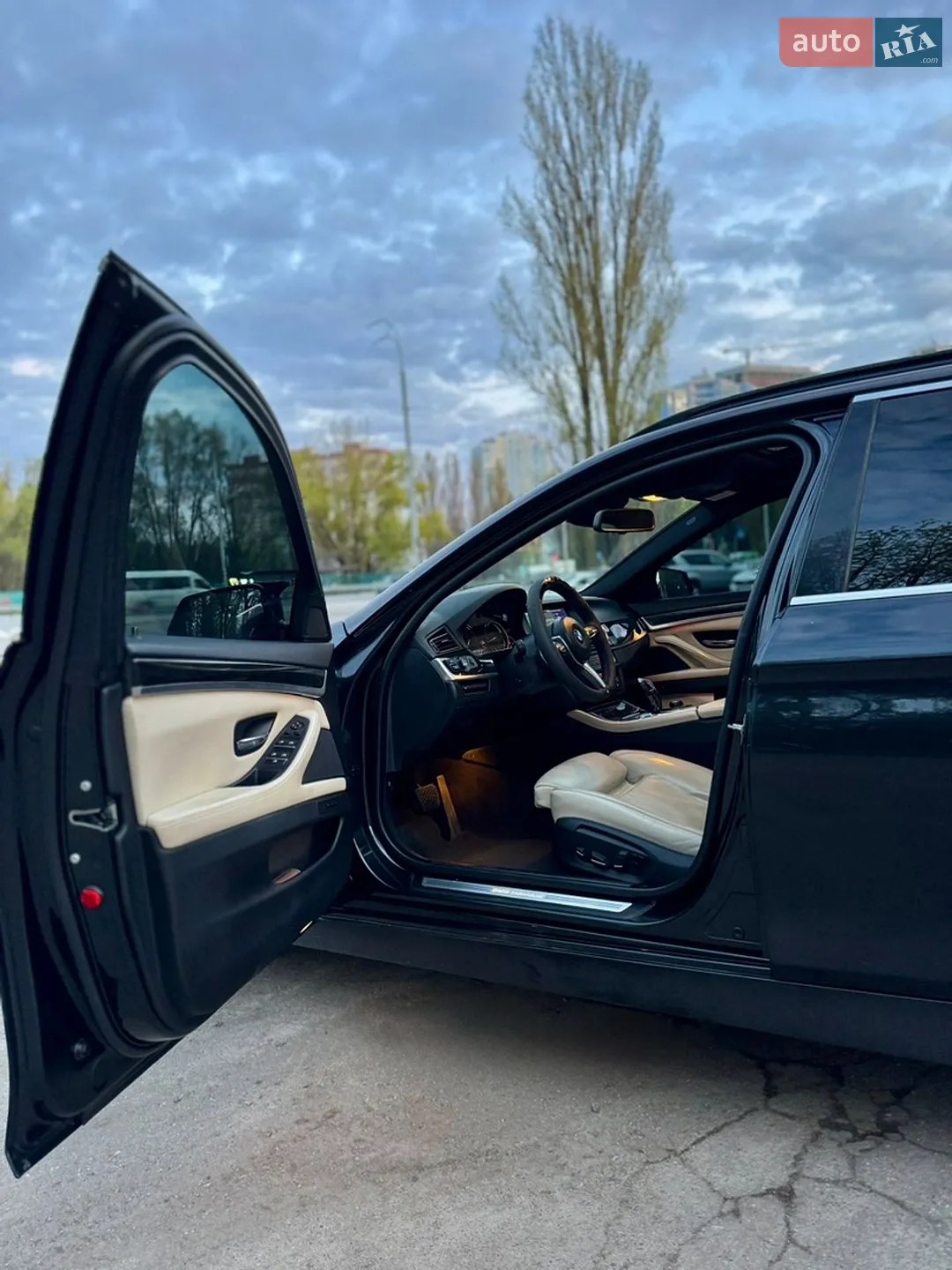 2010 BMW 5er - мініатюра 5