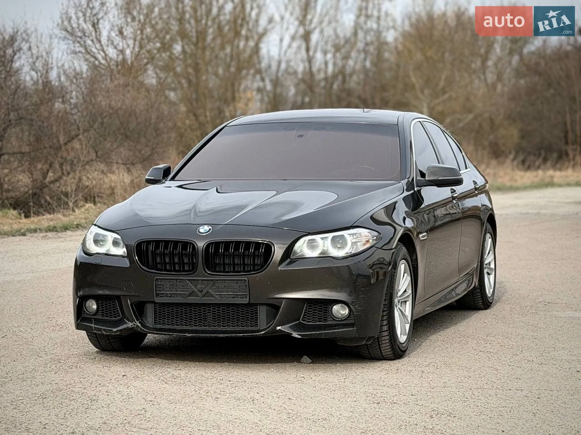 2015 BMW 5er - мініатюра 2