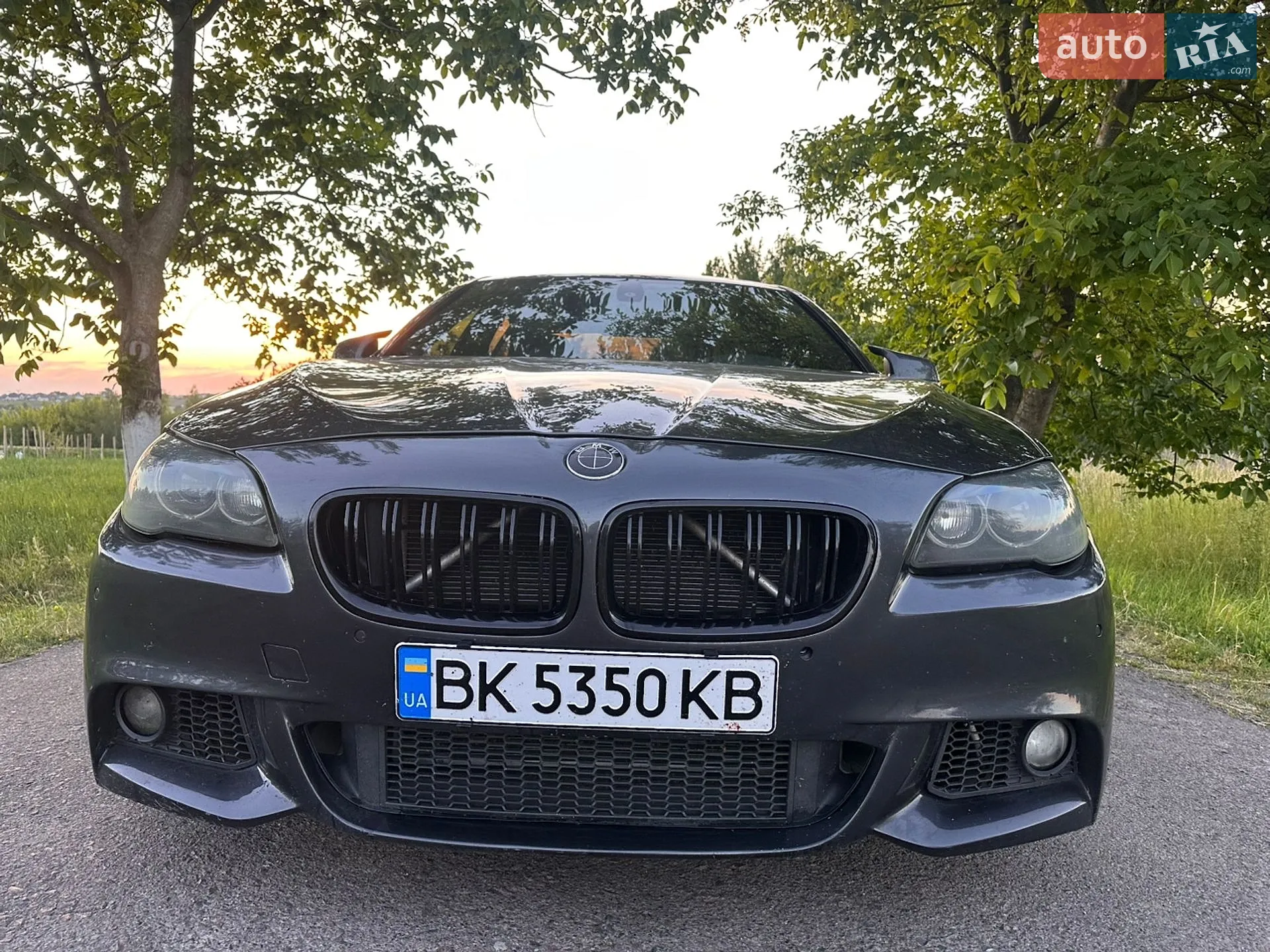 2010 BMW 5er - мініатюра 2