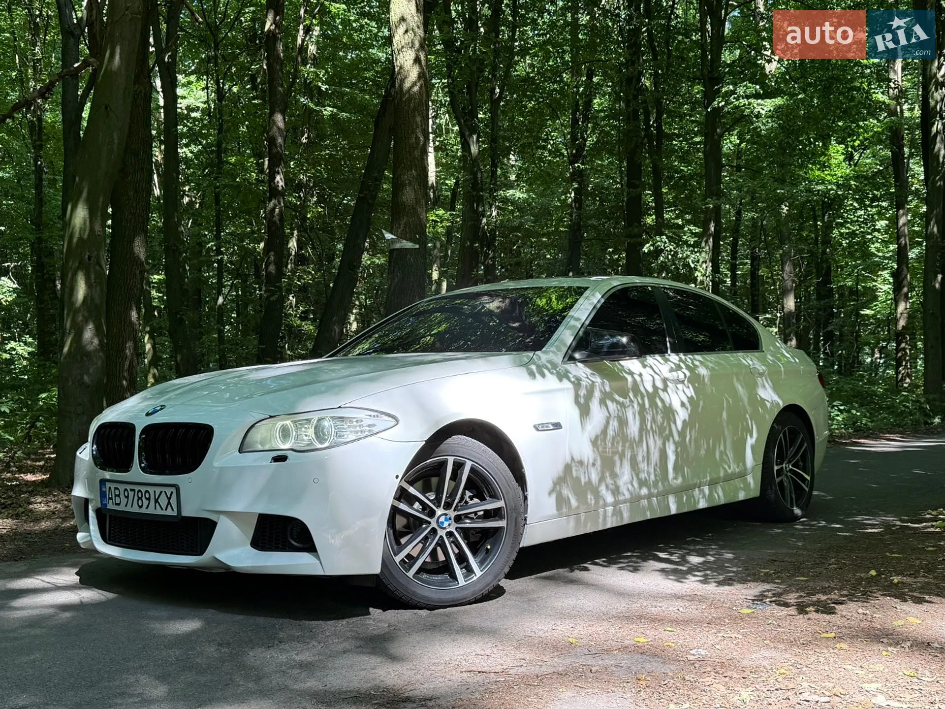 2013 BMW 5er - мініатюра 5