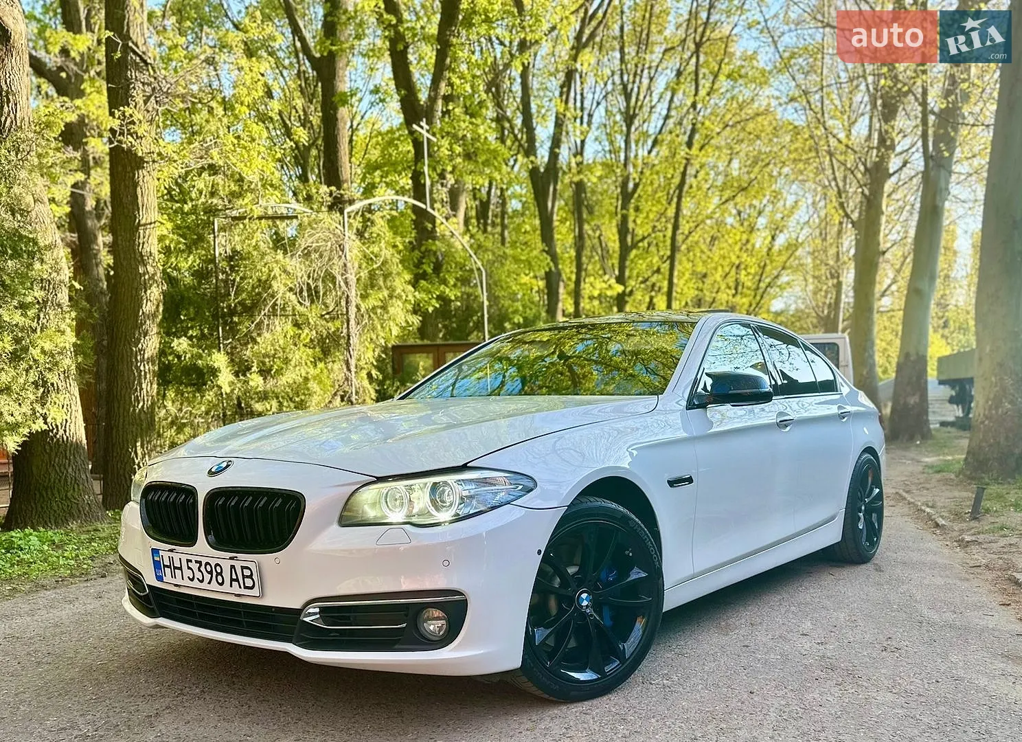 2013 BMW 5er - мініатюра 5