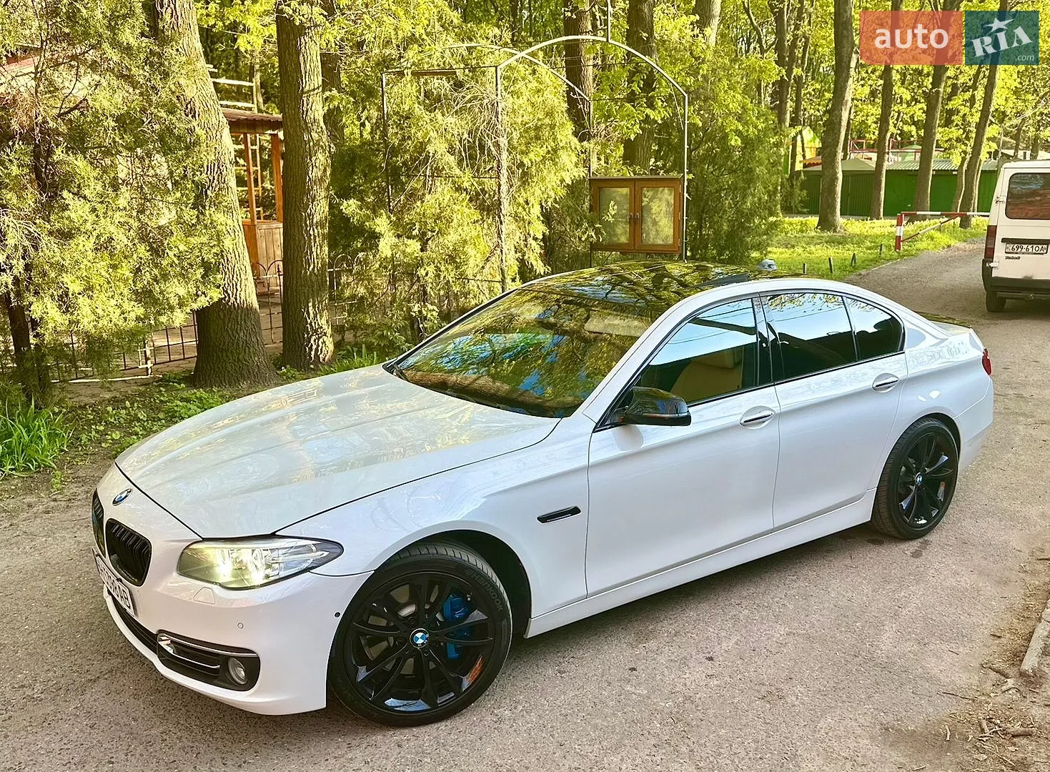2013 BMW 5er - мініатюра 7