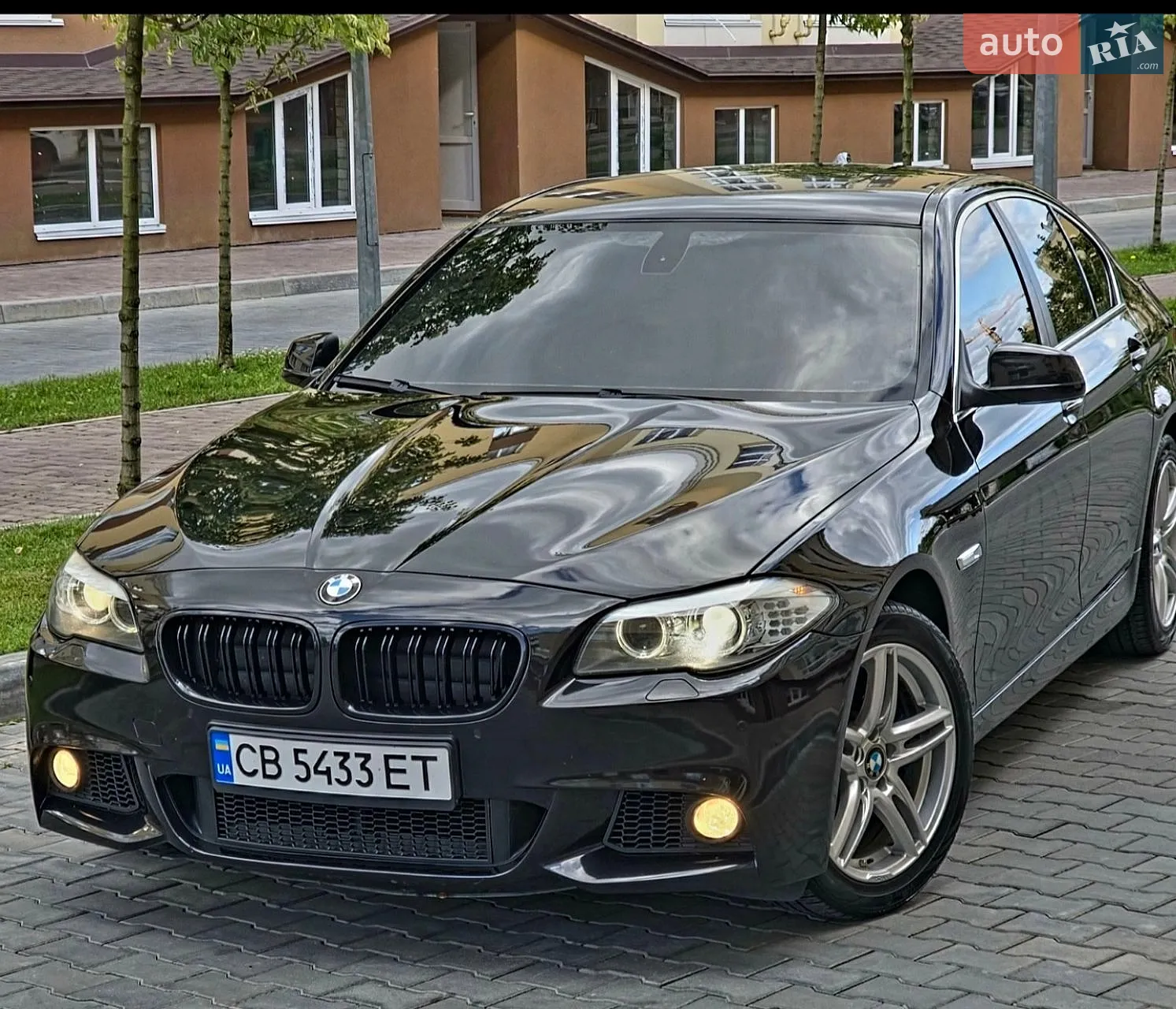 2010 BMW 5er - мініатюра 11