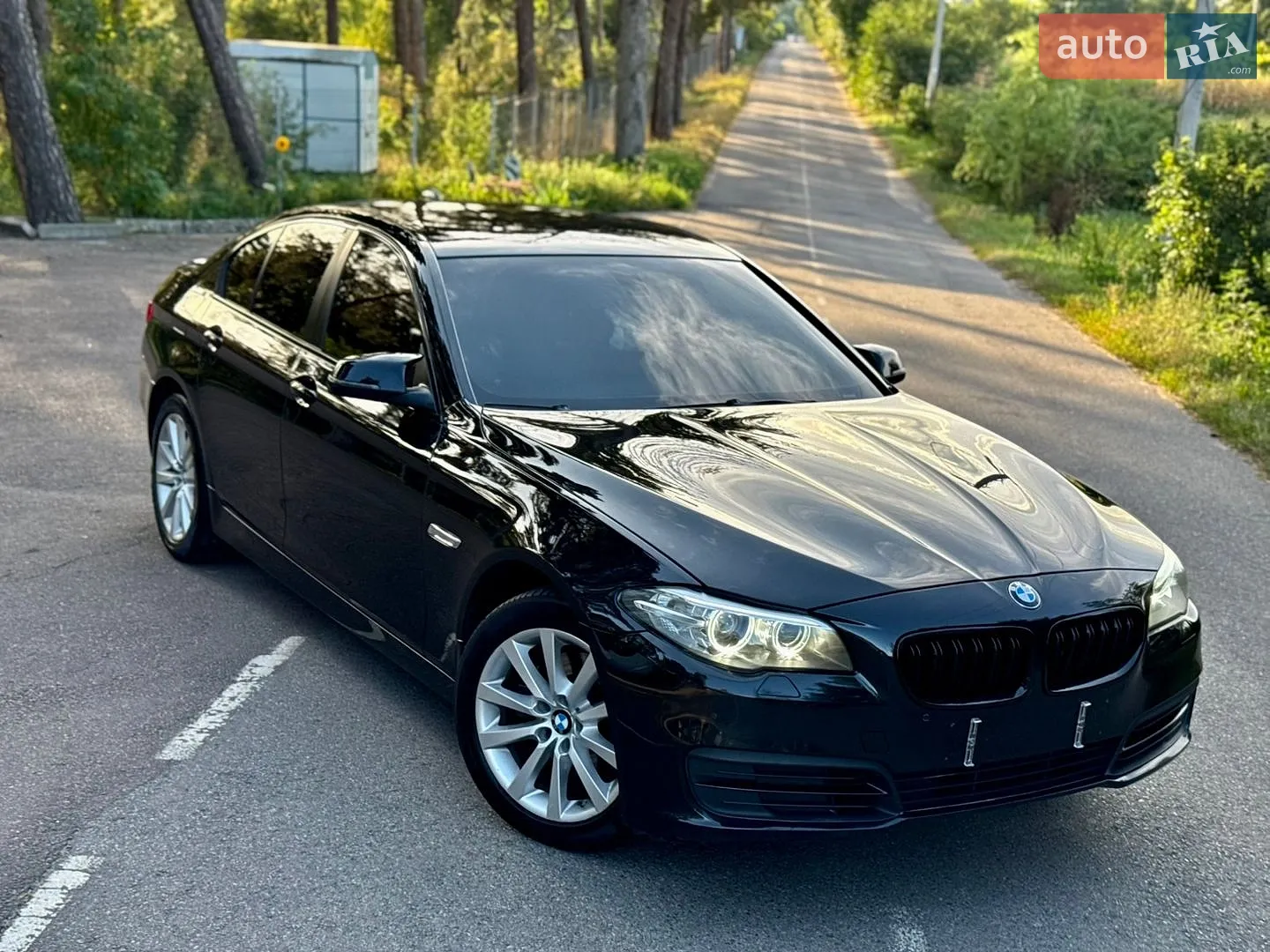 2015 BMW 5er - мініатюра 5
