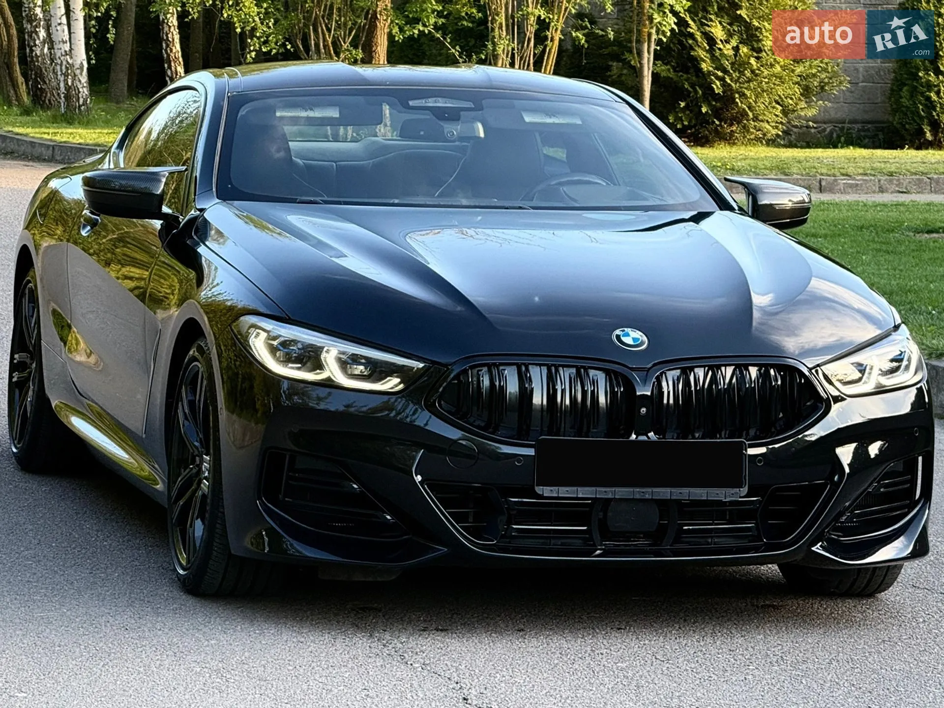 2019 BMW 8er - мініатюра 3
