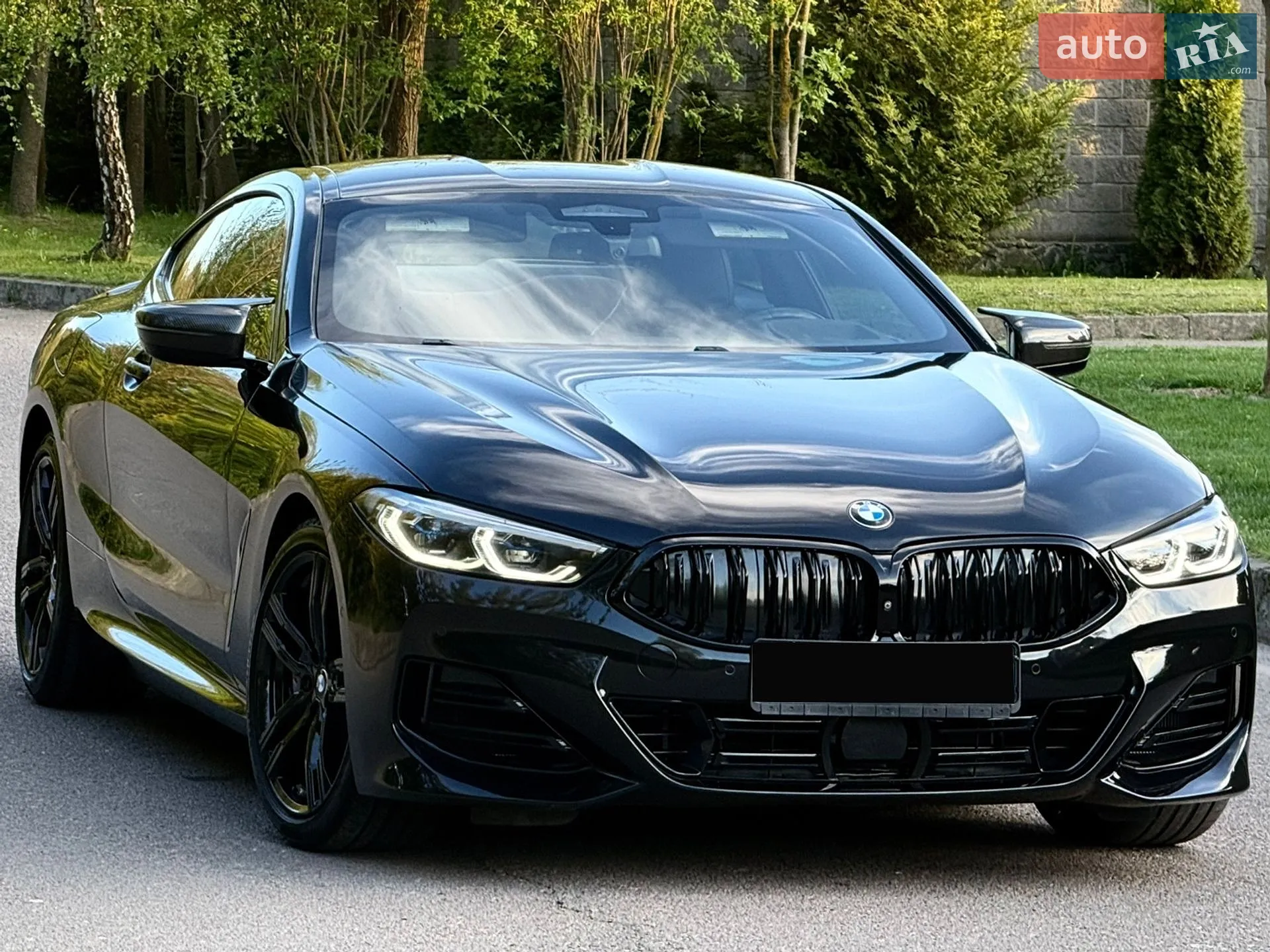 2019 BMW 8er - фото 1