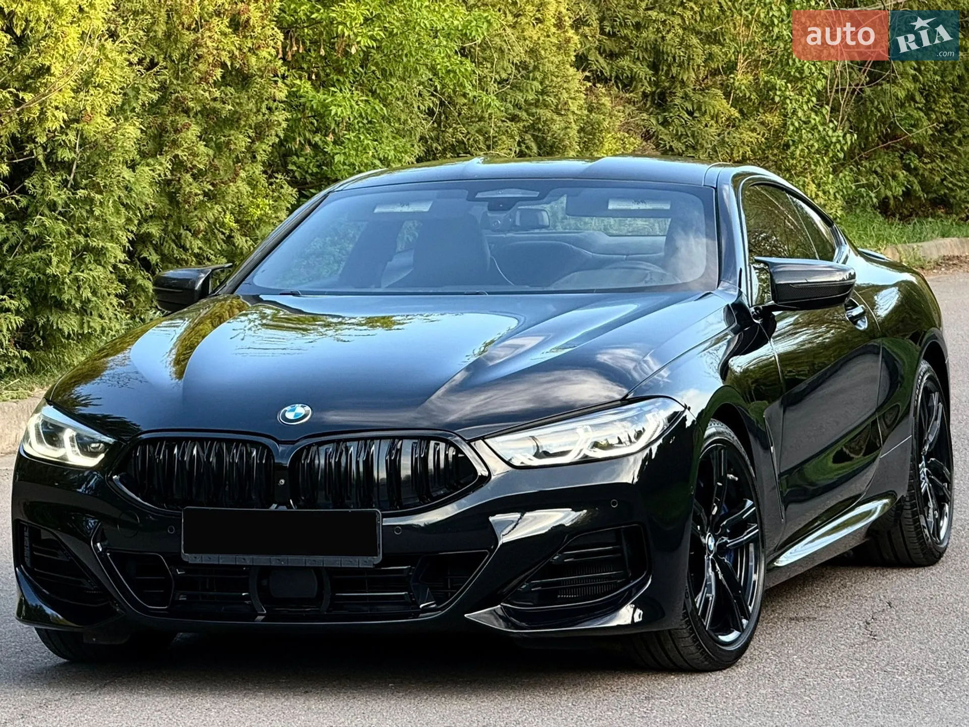 2019 BMW 8er - мініатюра 86