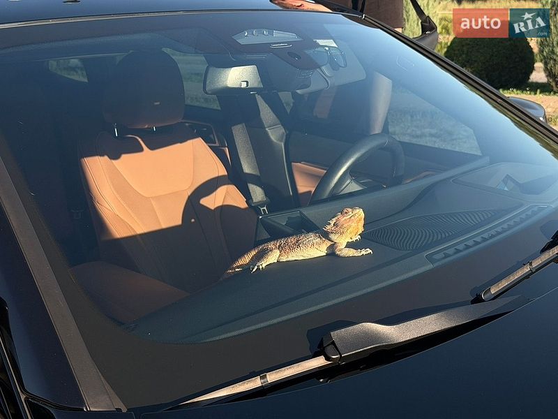 Купе BMW i4 2024 в Днепре фото 12 Купе BMW i4 2024 в Днепре