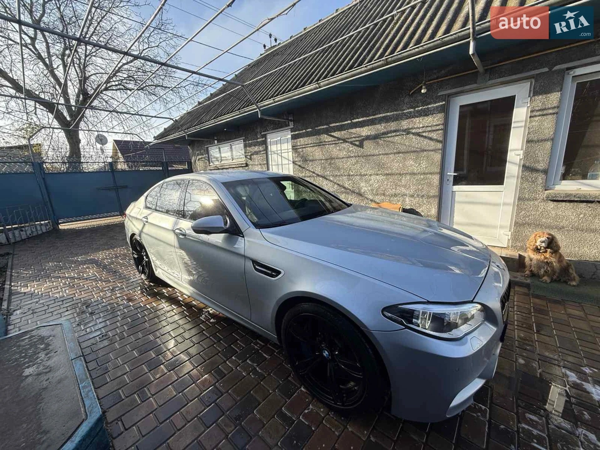 2011 BMW M5 - мініатюра 18