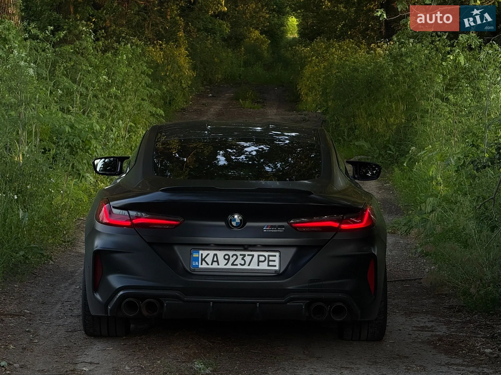 2019 BMW M8 - мініатюра 5