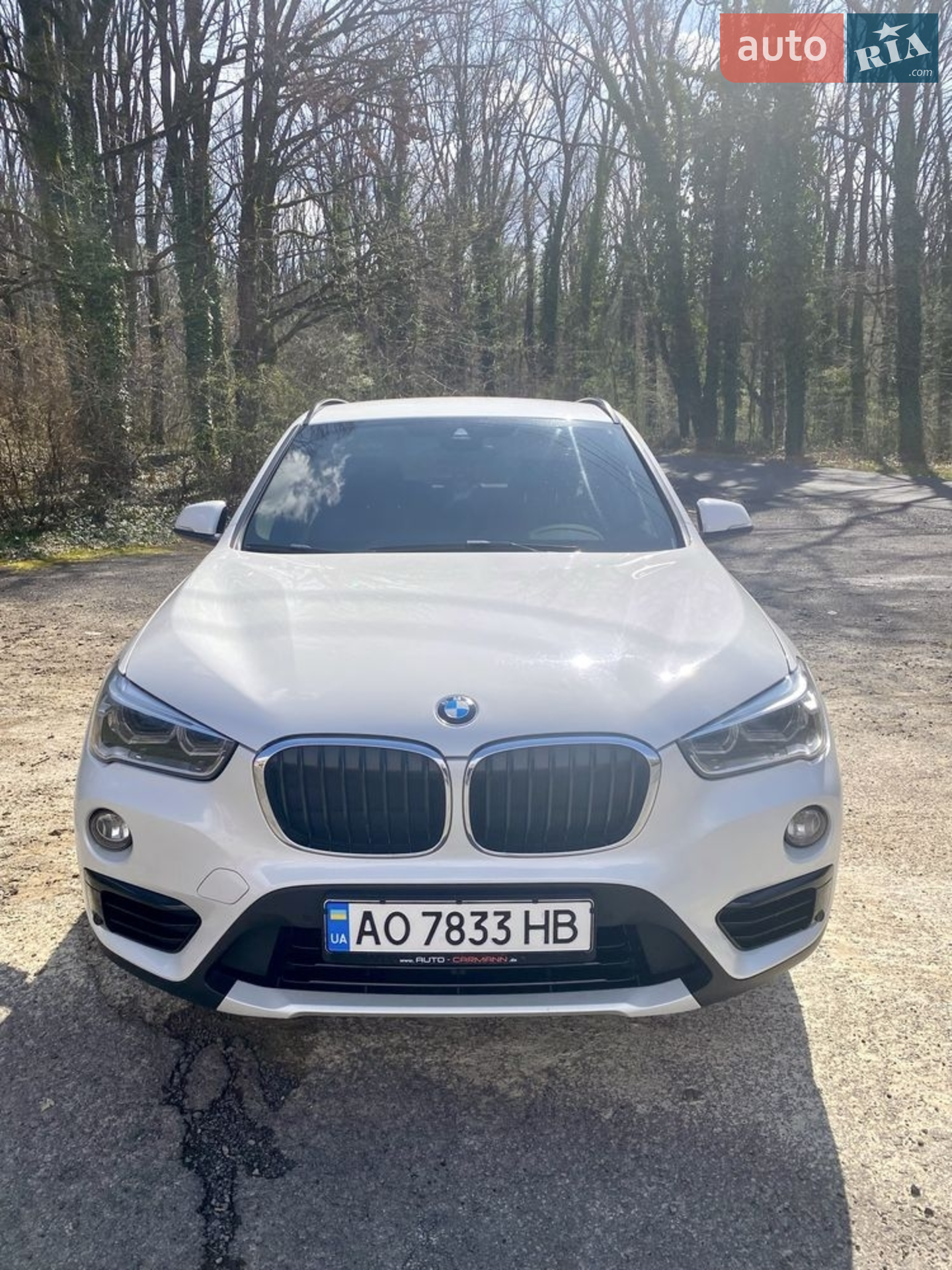 2015 BMW X1 - мініатюра 8