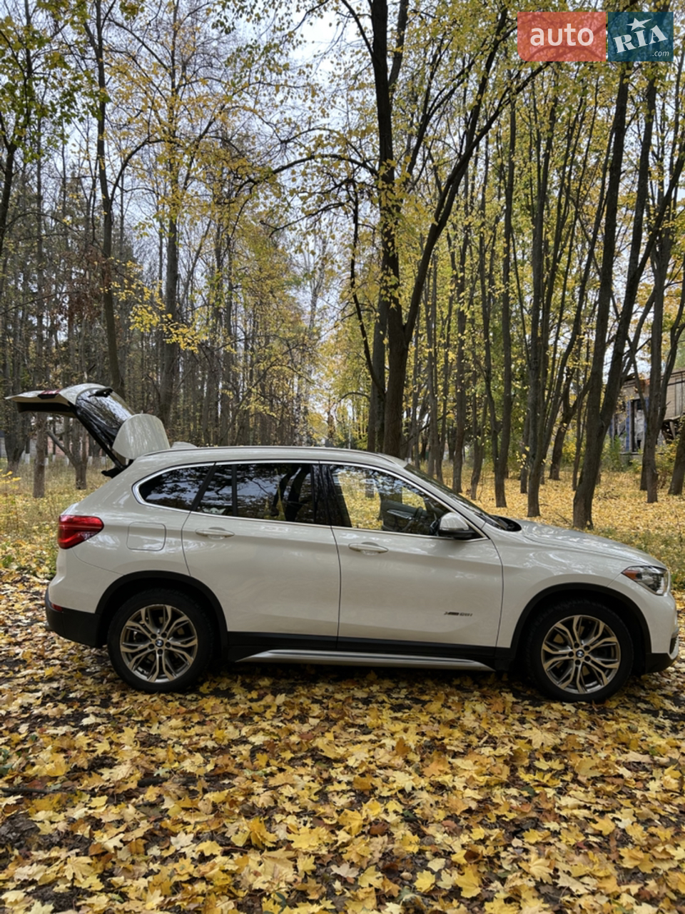 2015 BMW X1 - мініатюра 42