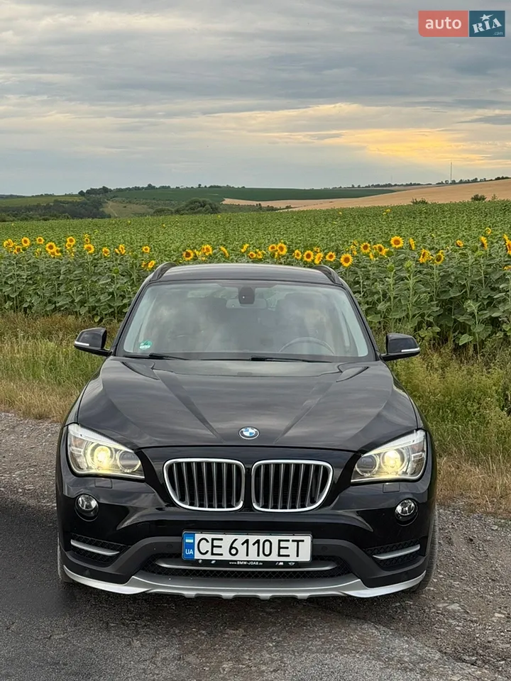 2014 BMW X1 - мініатюра 17