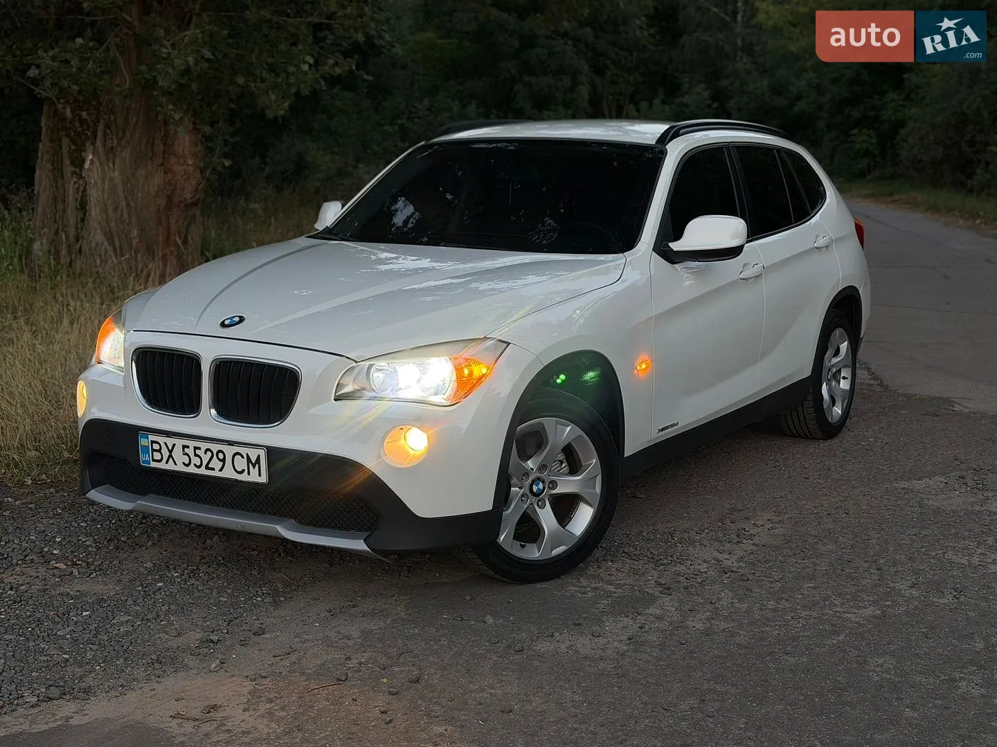 2011 BMW X1 - мініатюра 2