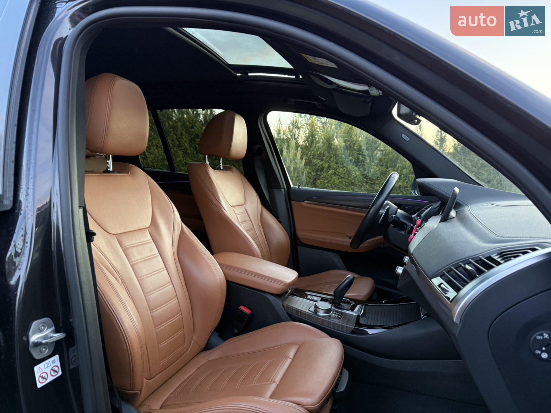 2019 BMW X3 - мініатюра 33