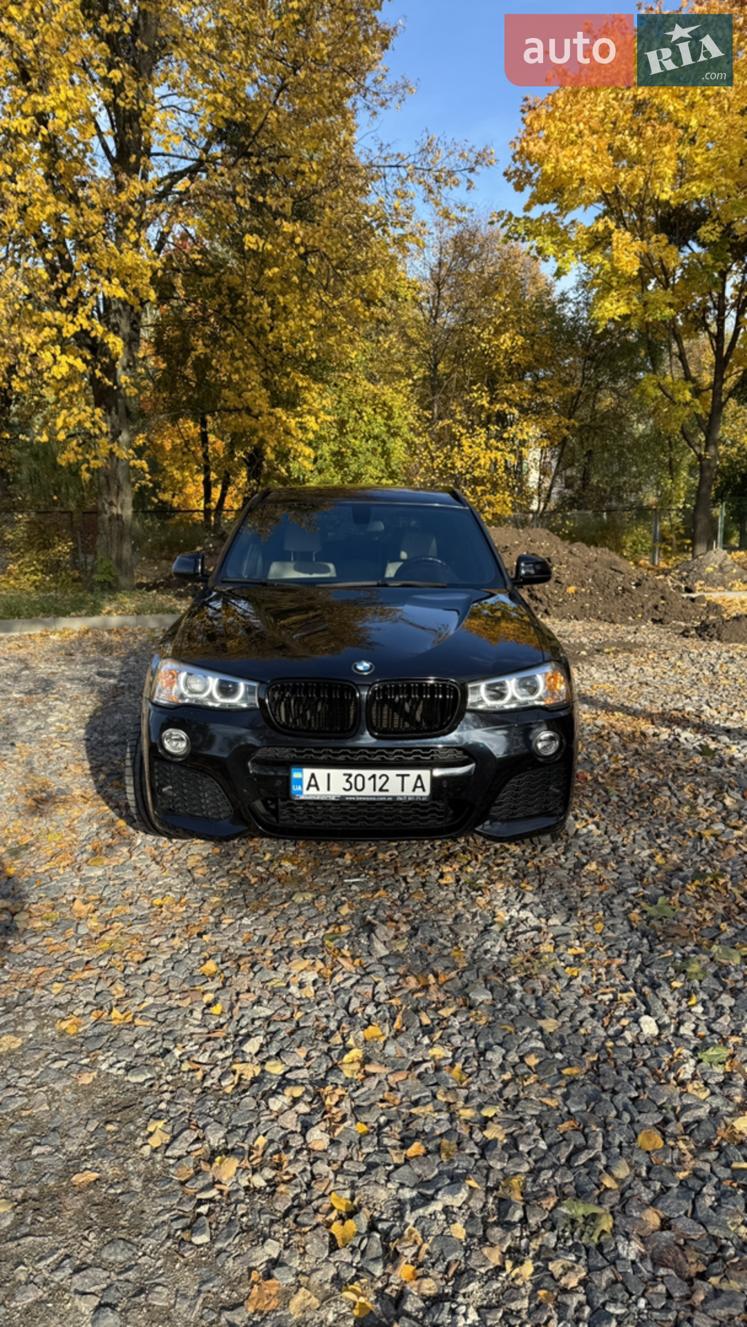 2017 BMW X3 - мініатюра 3