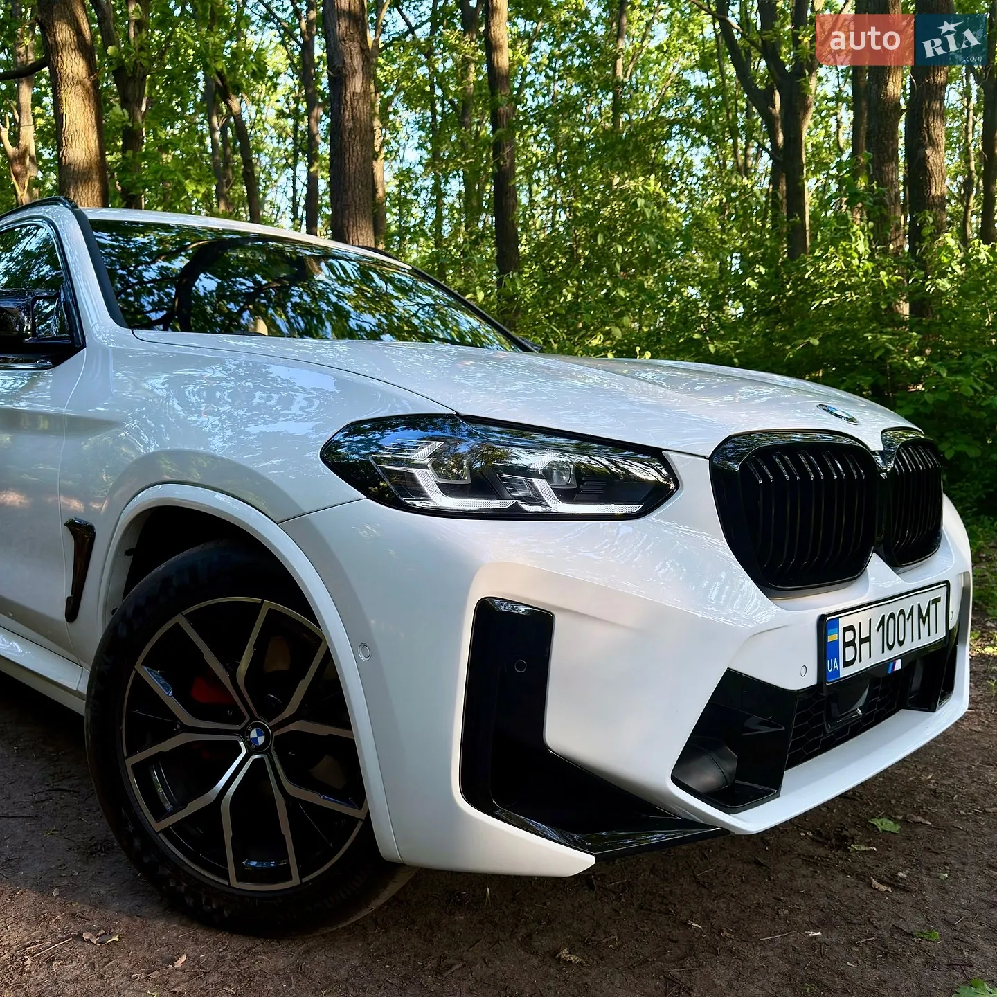 2019 BMW X3 - мініатюра 5