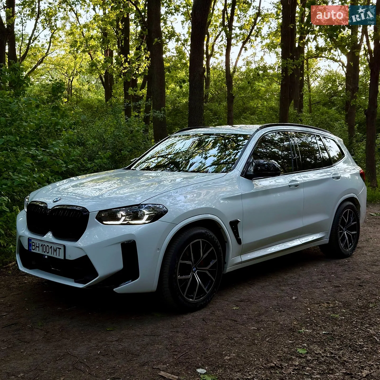 2019 BMW X3 - фото 1