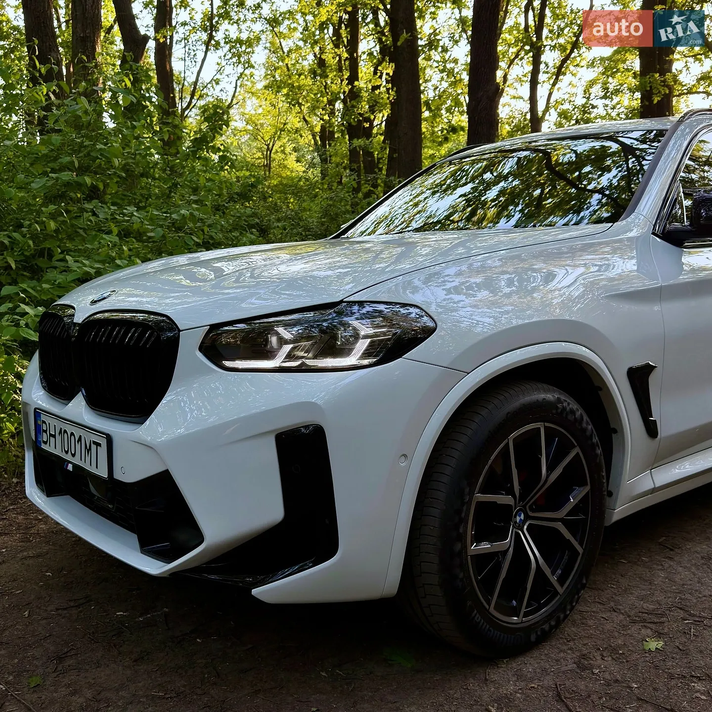 2019 BMW X3 - мініатюра 17