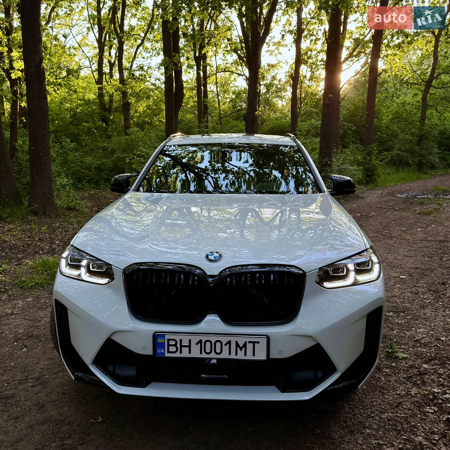 2019 BMW X3 - мініатюра 22