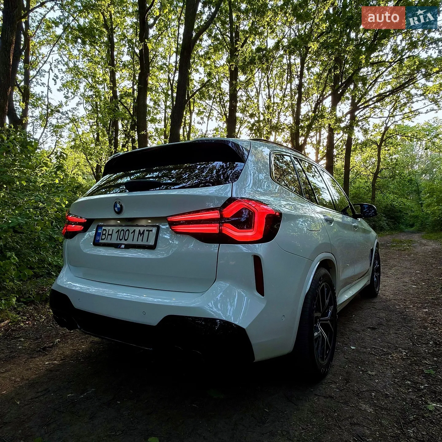 2019 BMW X3 - мініатюра 27